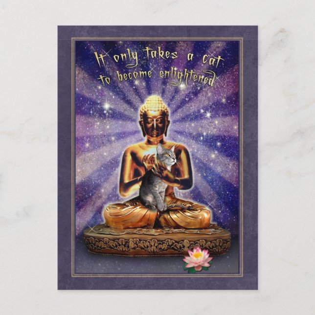 Cat Erleuchtung Postkarte (Vorderseite)