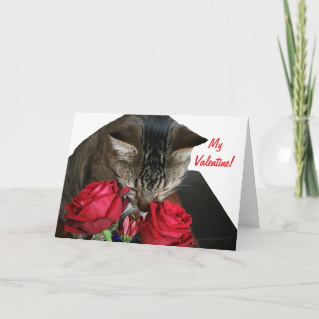 Cat et carte Valentine Rose (Devant)