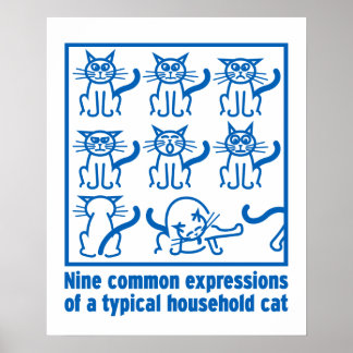 Cat Expressions Poster