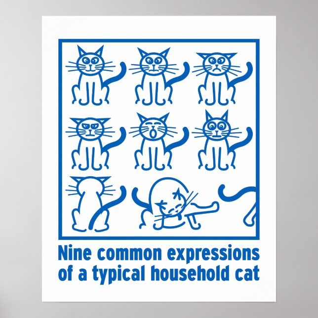 Cat Expressions Poster (Vorne)