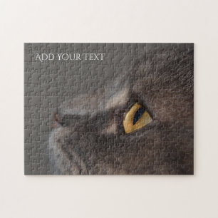 Cat Eye-Macro von Shirley Taylor