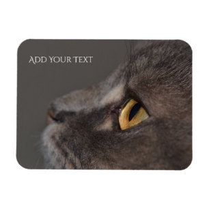 Cat Eye-Macro von Shirley Taylor Magnet