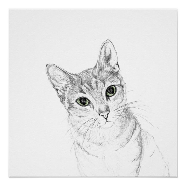 Cat Eyes A Pencil Zeichnend Poster (Vorderseite)