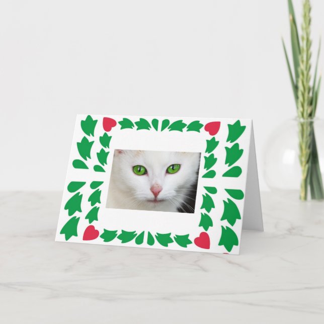 Cat Eyes Grußkarte Karte (Vorderseite)