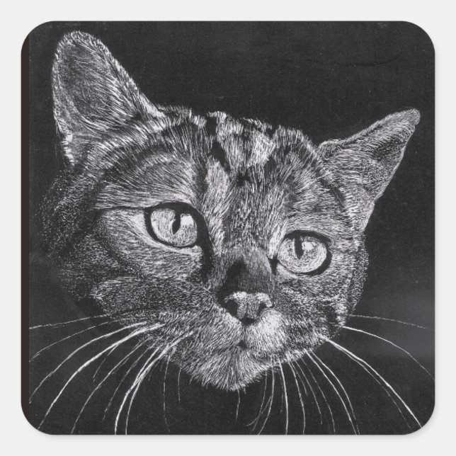 Cat Face meine High School zeichnend Quadratischer Aufkleber (Vorderseite)