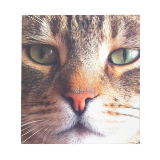 Cat Face Notizblock