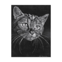 Cat Face