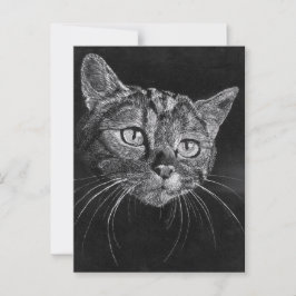 Cat Face Postkarte