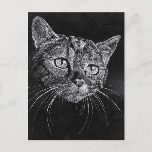 Cat Face Postkarte (Vorderseite)