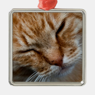 Cat face Premium Square Ornament