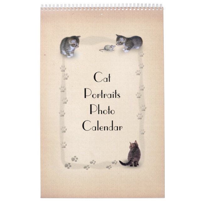 Cat Faces Kalender (Titelbild)