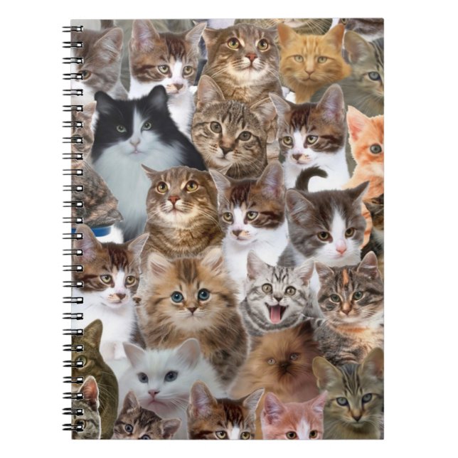 Cat Faces Pattern Notizblock (Vorderseite)