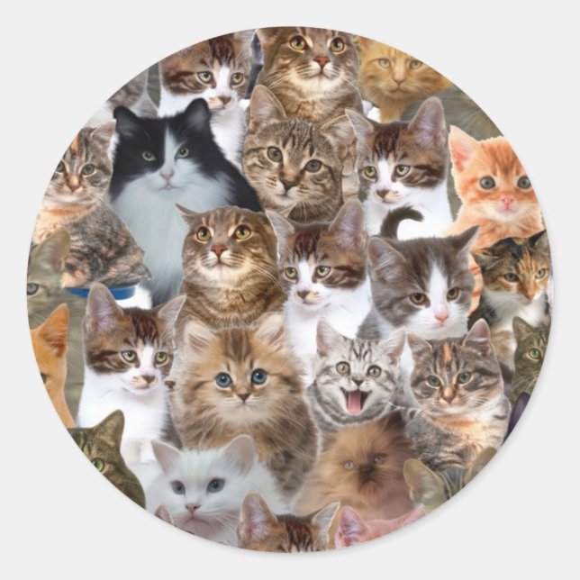 Cat Faces Pattern Runder Aufkleber (Vorderseite)