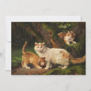 Cat Family Playing   Julius Adam the Younger