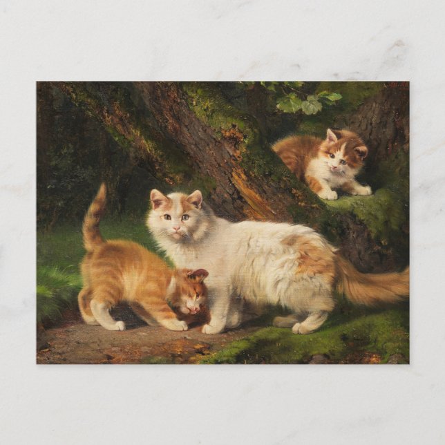 Cat Family Playing | Julius Adam the Younger Postkarte (Vorderseite)