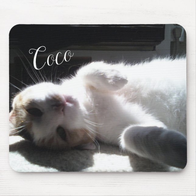 Cat Feline Mouse Pad! Mousepad (Vorne)