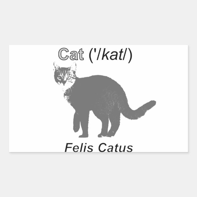 Cat Felis Catus Rechteckiger Aufkleber (Vorderseite)