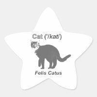 Cat Felis Catus