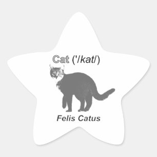 Cat Felis Catus Stern-Aufkleber