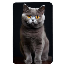 Cat Fllexible Foto Magnet