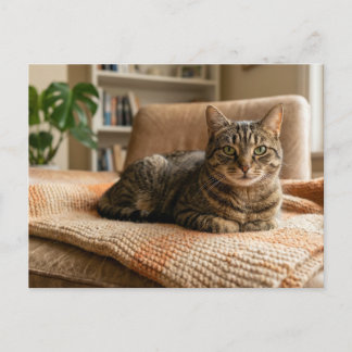 Cat Forever Home Announcement  Postkarte