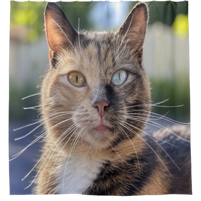 Cat-Foto anpassen hinzufügen Duschvorhang (Vorderseite)