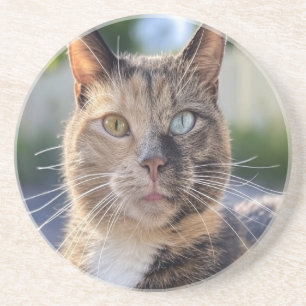 Cat-Foto anpassen hinzufügen Getränkeuntersetzer