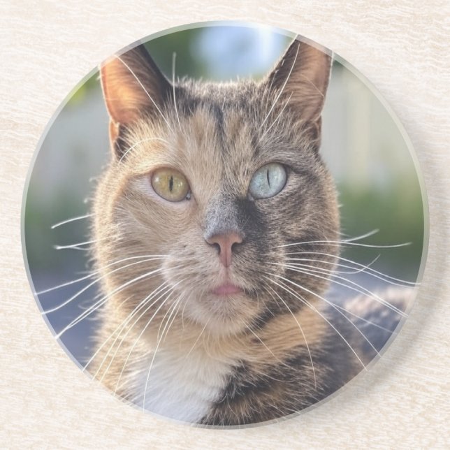 Cat-Foto anpassen hinzufügen Getränkeuntersetzer (Vorne)