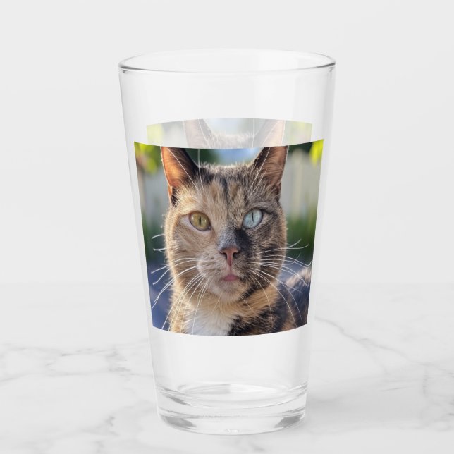 Cat-Foto anpassen hinzufügen Glas (Vorderseite)