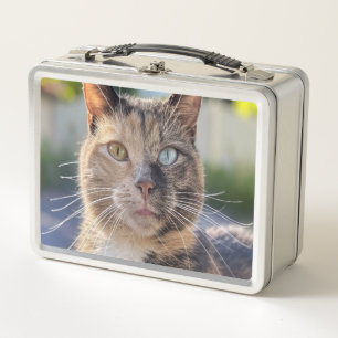 Cat-Foto anpassen hinzufügen Metall Brotdose