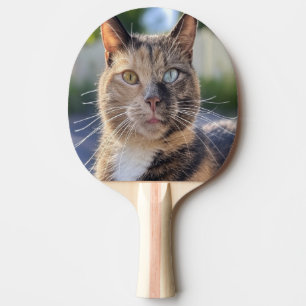 Cat-Foto anpassen hinzufügen Tischtennis Schläger