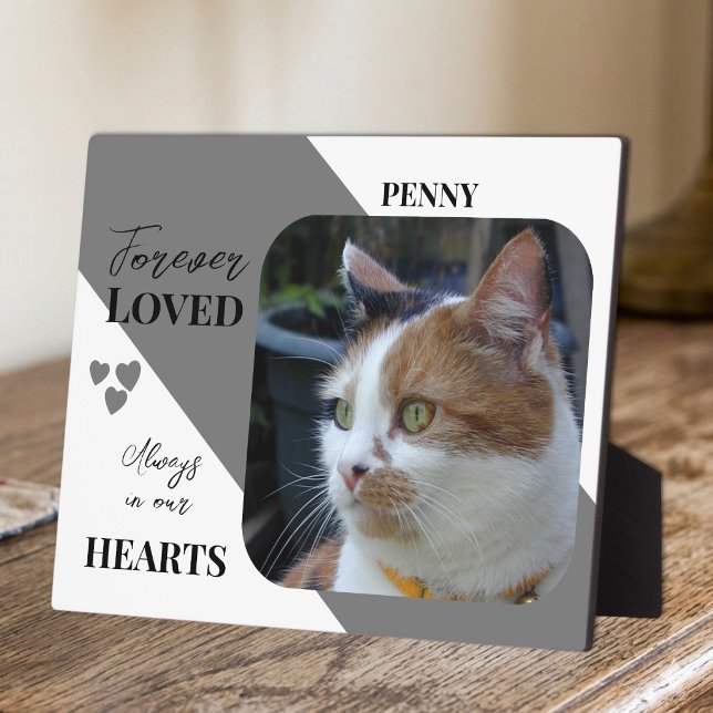 Cat Foto Beileid Keepake Pet Memorial grau Fotoplatte (Von Creator hochgeladen)