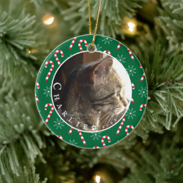 Cat Foto Candy Canes Rahmen Green Ornament