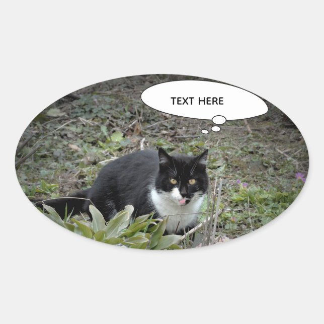 Cat-Foto für benutzerdefinierte Textaufkleber Ovaler Aufkleber (Vorderseite)