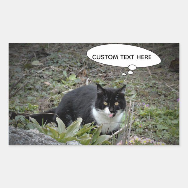 Cat-Foto für benutzerdefinierte Textaufkleber Rechteckiger Aufkleber (Vorderseite)