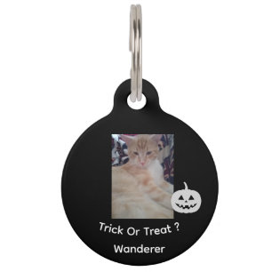 Cat Foto, Halloween Text, Name, Anpassen, Haustiermarke