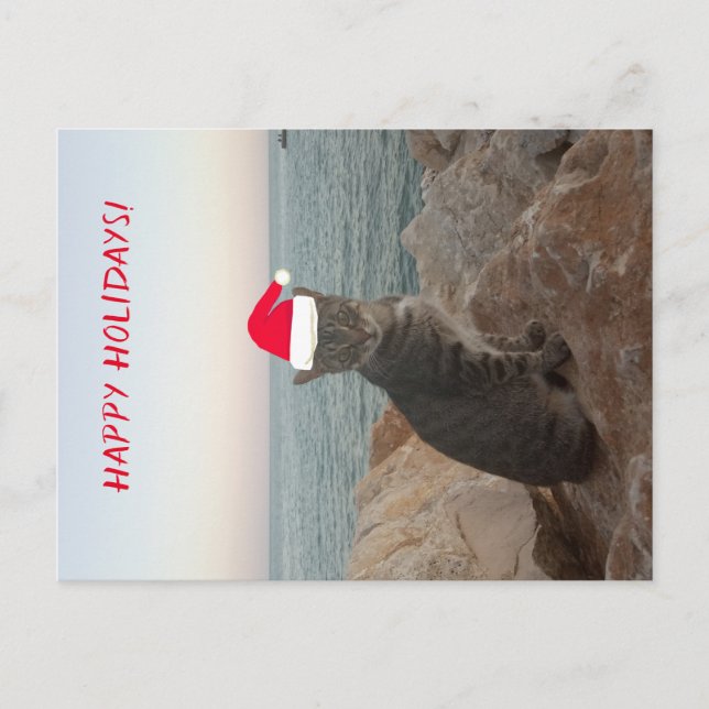 Cat Foto Happy Holidays Postkarte (Vorderseite)