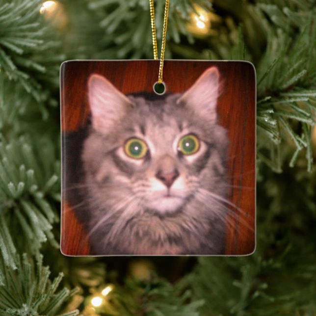 Cat Foto Keramikornament (Baum)