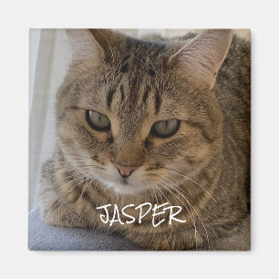 Cat Foto Magnet