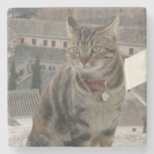 Cat Foto Marble Stone Untersetzer (Vorderseite)