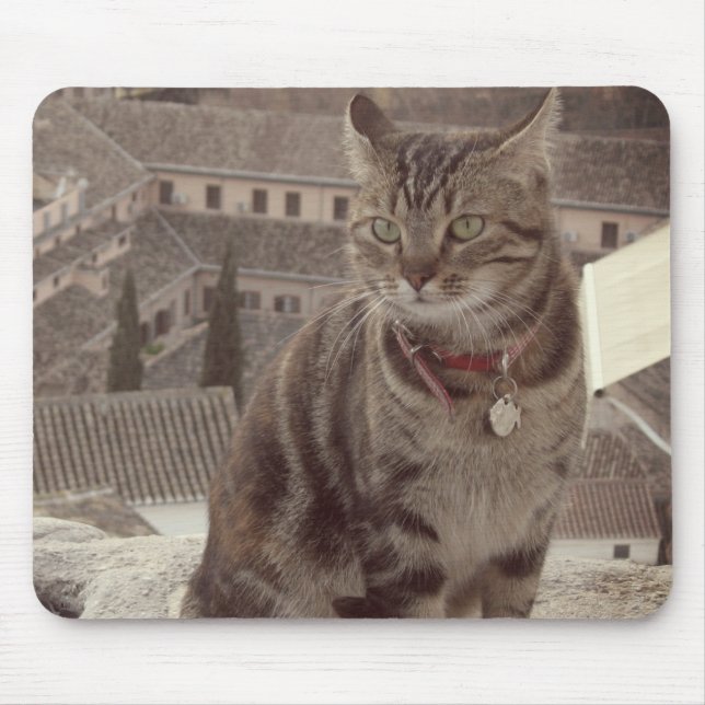 Cat Foto Mousepad (Vorne)