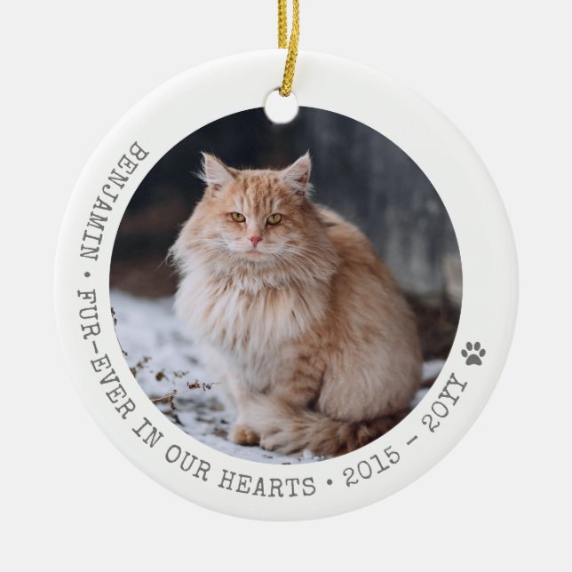 Cat Foto Pet Passende Memorial Personalisiert Keramik Ornament (Vorne)