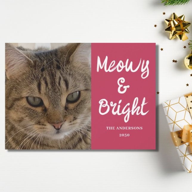 Cat Foto Pink Meowy und Helle Weihnachten (Von Creator hochgeladen)