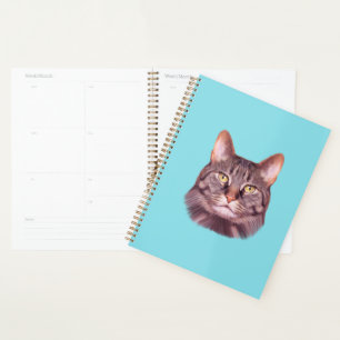 Cat Foto Portrait Planer