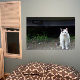 Cat Foto Poster