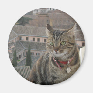 Cat Foto Standard, 5,7 cm Magnet