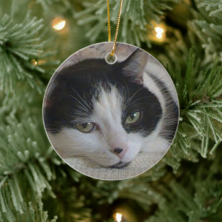 Cat Foto Weihnachten Keramik Ornament