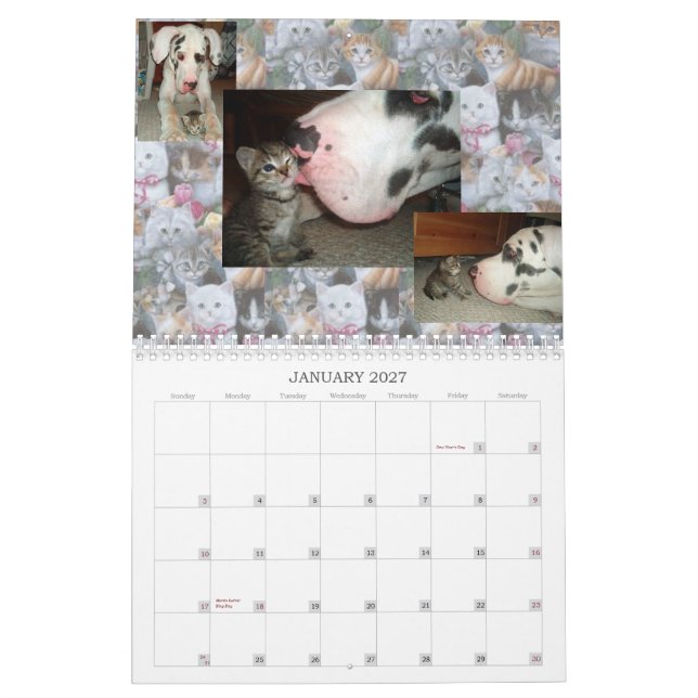 CAT-FREUNDE AUS DEM INTERNET KALENDER (Jan 2027)