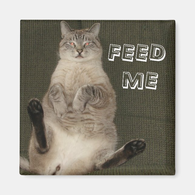 Cat "FÜTTRE ME" Square Magnet (Vorne)