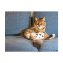 Cat Gamer Postcrosser